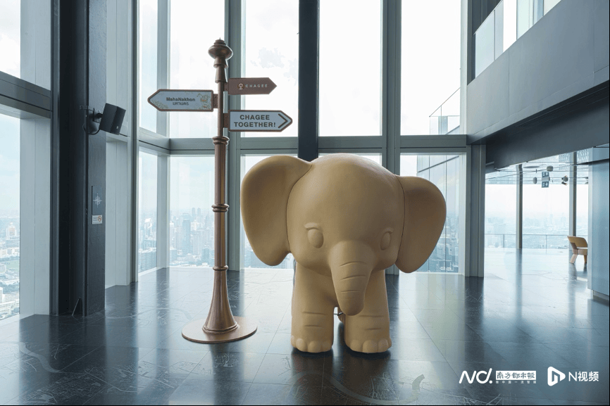 店开到了泰国曼谷300米高空AG真人娱乐网址霸王茶姬把门(图2) 店开到了泰国曼谷300米高空AG真人娱乐网址霸王茶姬把门(图2)