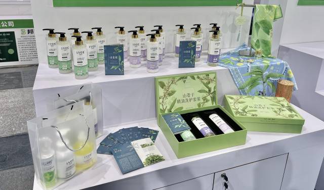 北山野“小辛香”如何迈向“大市场”AG真人娱乐一颗山苍子的新生：粤(图3)